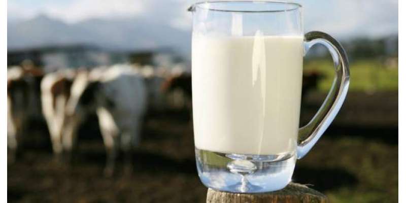 دنیا بھر میں دودھ کا عالمی دن یکم جون کو منایا جائے گا
