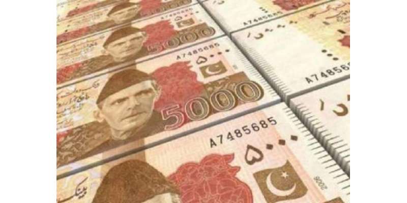 5 ہزار روپے کے نوٹ پر پابندی عائد کرنے کا مطالبہ کردیا گیا