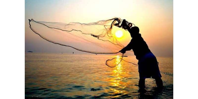 پاکستان بھر میں عالمی یوم ماہی گیری منایاگیا