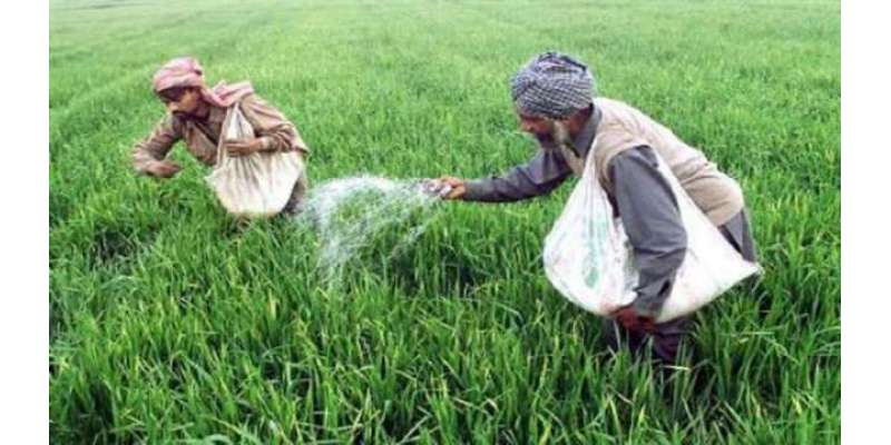 وفاقی حکومت نے کسانوں کیلئے خصوصی پیکج کا اعلان کر دیا