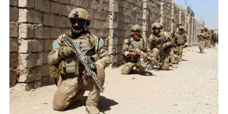 افغانستان، صوبہ ہلمند میں فوج کی کارروائی میں 5 طالبان ہلاک