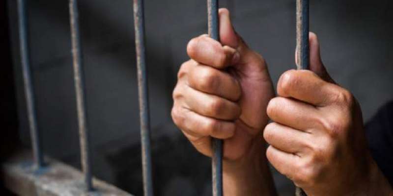 یو اے ای میں 41 فیصد پاکستانی معمولی جرائم میں قید ہیں، علی محمد خان