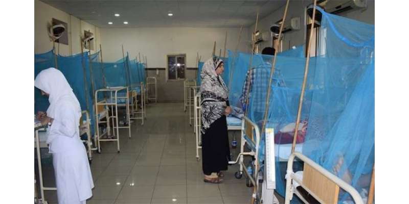 پشاورکے2تدریسی ہسپتالوں میں ڈینگی مریضوں کی تعداد83ہو گئی،  انتظامیہ
