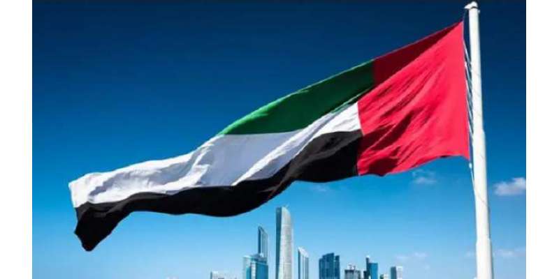 متحدہ عرب امارات سائبر سیکیورٹی کونسل کی منظوری دیدی