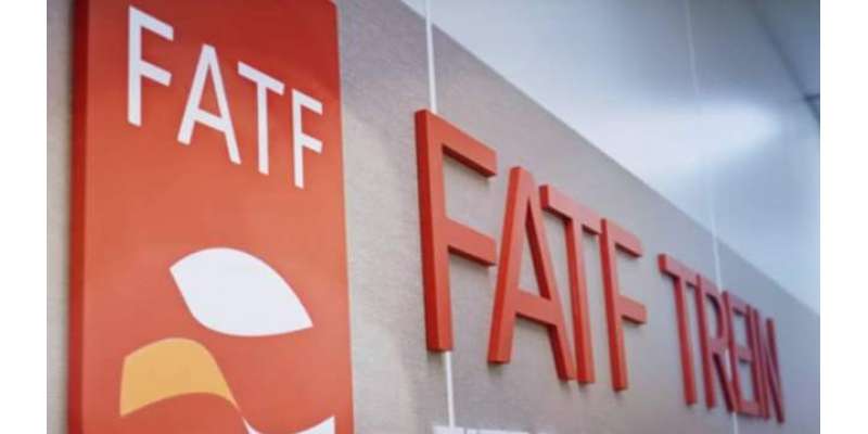 FATF کے اجلاس میں پاکستان نے بھارت کو منہ توڑ جواب دے دیا