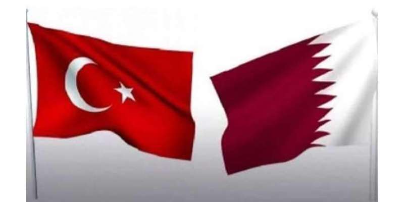 لیبی فوج کی ملک میں مداخلت پر ترکی اور قطر کو سنگین نتائج کی دھمکی