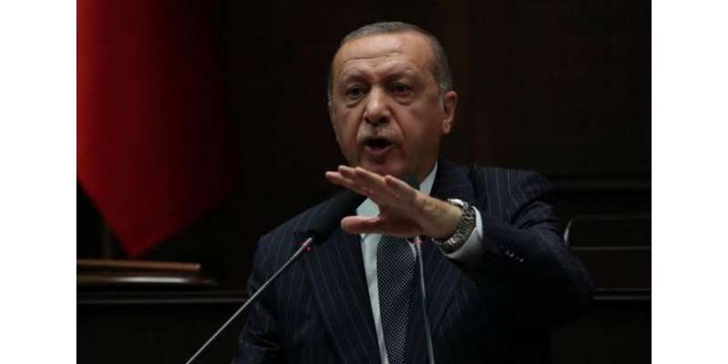 ترکی کی کامیابیوں پر دشمنوں کو پریشانی ہے ، ترک صدر