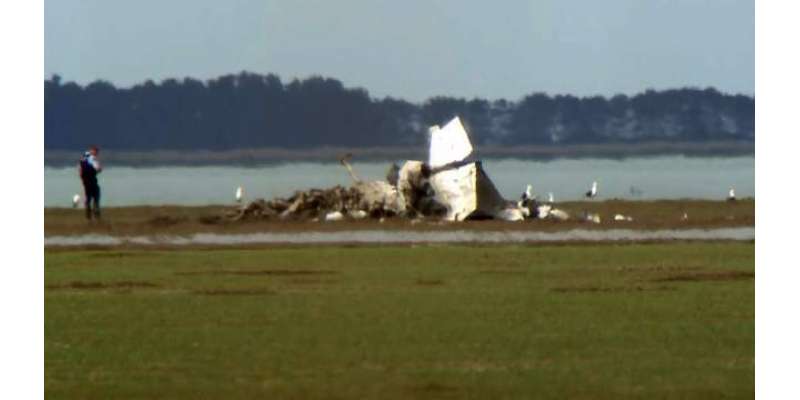 نیوزی لینڈ میں تربیتی طیارہ گر کر تباہ ، پائلٹ ہلاک