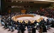 حوثی باغیوں کا حملہ‘ یو اے ای کا اقوام متحدہ کی سلامتی کونسل کا اجلاس ..