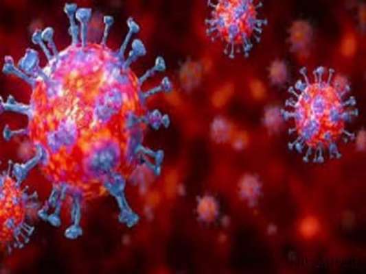 کورونا وائرس کچھ ممالک میں زیادہ جان لیوا کیوں؟ تحقیق سامنے آگئی