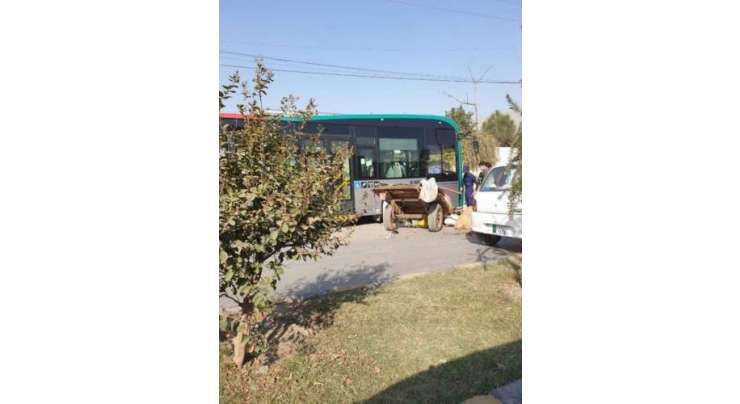 پشاور میں بی آر ٹی بس گدھا گاڑی سے ٹکرا گئی