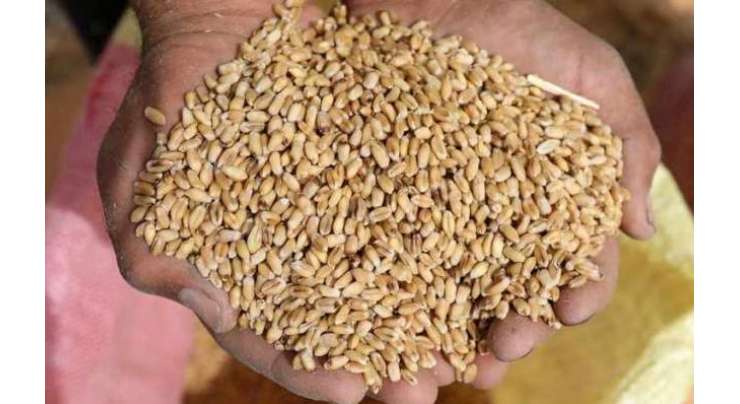 فیصل آباد،  گندم کے پیداواری  اہدا ف کو یقینی  بنانے کے لیے خصوصی کمیٹی تشکیل