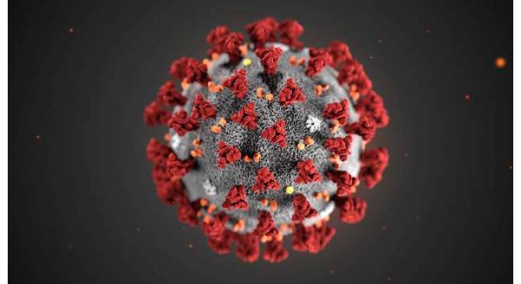پاکستان میں افریقی اور برازیلین اقسام کے نئے کرونا وائرس کی موجودگی کا انکشاف