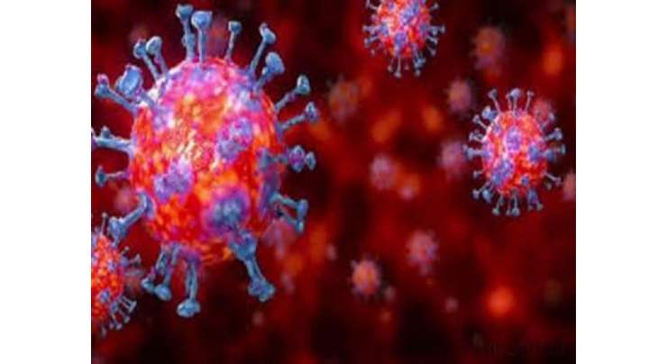 ملک میں کورونا وائرس مثبت آنے کا تناسب 8.53 فی صد ہے،  ماہرین صحت کی نیشنل کمانڈ اینڈ آپریشن سینٹرکیاجلاس میں بریفنگ