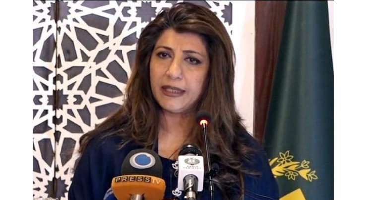 پاکستان اور بھارت کے درمیان کسی بھی بیک چینل ڈپلومیسی کو مسترد کرتے ہیں، ترجمان دفتر خارجہ