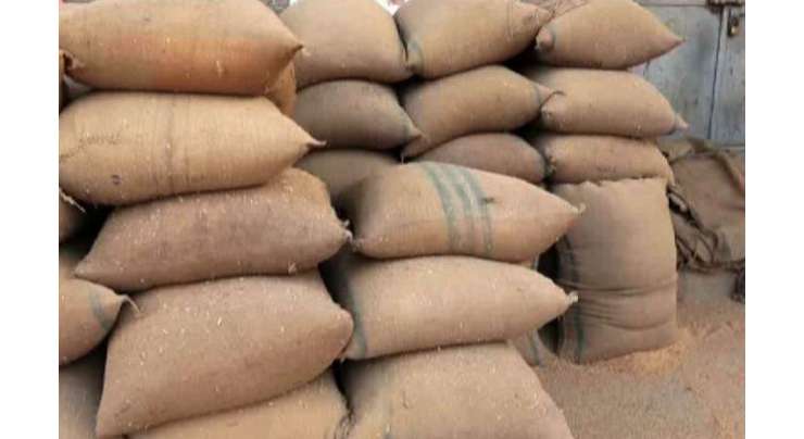 سندھ میں سرکاری گوداموں سے گندم کی 47 ہزار بوریاں غائب ہونے کا انکشاف