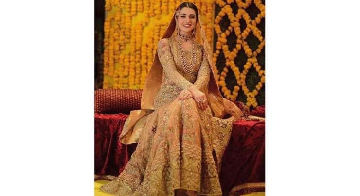 محبت کی شادی پر یقین نہیں رکھتی ، والدین کی پسند سے شادی کروں گی، سارہ خان