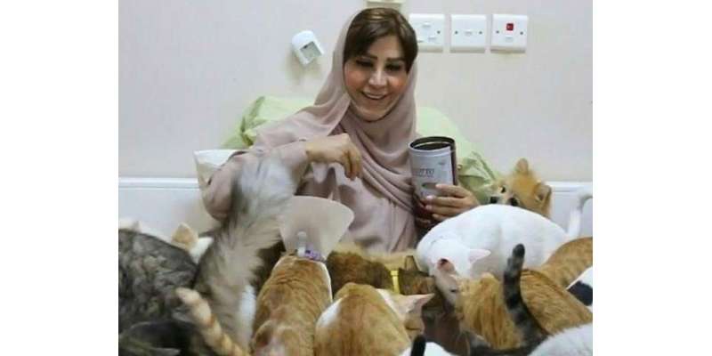خاتون نے اپنی زندگی بلیوں کے لیے وقف کر دی،گھر میں500بلیاں اکٹھی کر لیں