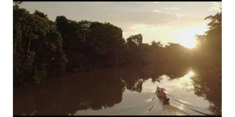 ایمازون دریا میں کشتی ڈوبنے سے 13 افراد ہلاک