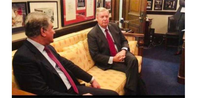 وزیر خارجہ کی سینئر امریکی ریپبلکن سینیٹر لنزے گراہم سے ملاقات
