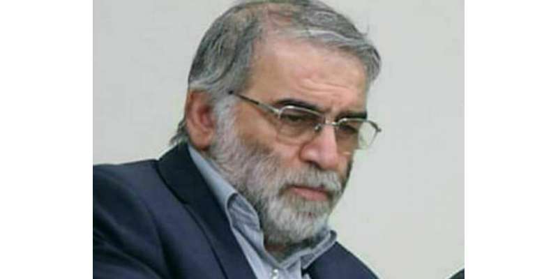محسن فخری زادہ کے قاتلوں سے بدلہ لیں گے،ایرانی فوجی مشیر