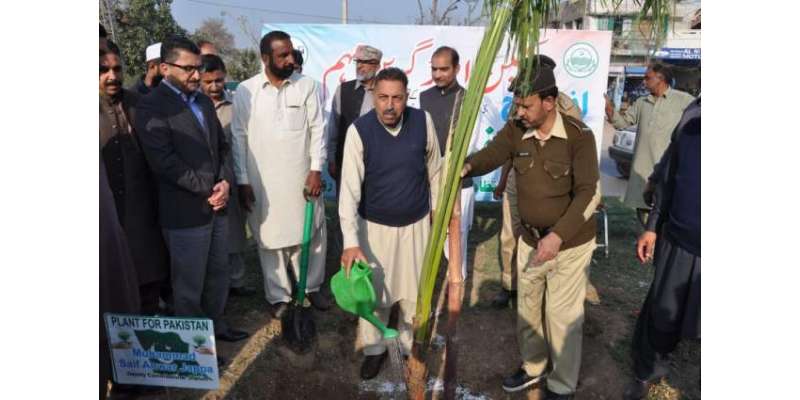 ممبر صوبائی اسمبلی نے پودا لگا کر شجرکاری مہم کا آغاز کردیا، شجر کاری ..