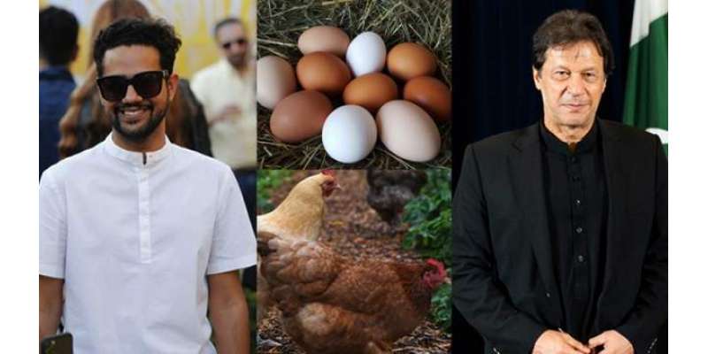 ’مرغیوں کی مدد کیلئے وزیراعظم کا پلان، یہی وجہ ہے ایک درجن انڈوں کی ..