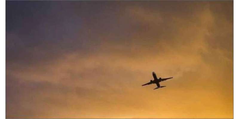 مسافر میں کورونا وائرس کا خطرہ، بھارتی پائلٹ نے کاک پٹ سے چھلانگ لگا ..