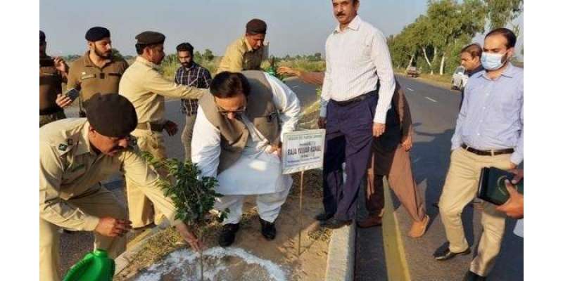 درخت لگانا صدقہ جاریہ ہے ضلع جہلم میں گیارہ لاکھ پودے لگائے جا چکے ہیں، ..