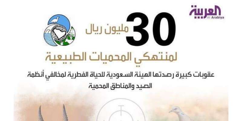 سعودی عرب میں مچھلی کے شکار پر 30 لاکھ ریال کا جرمانہ ہو گا