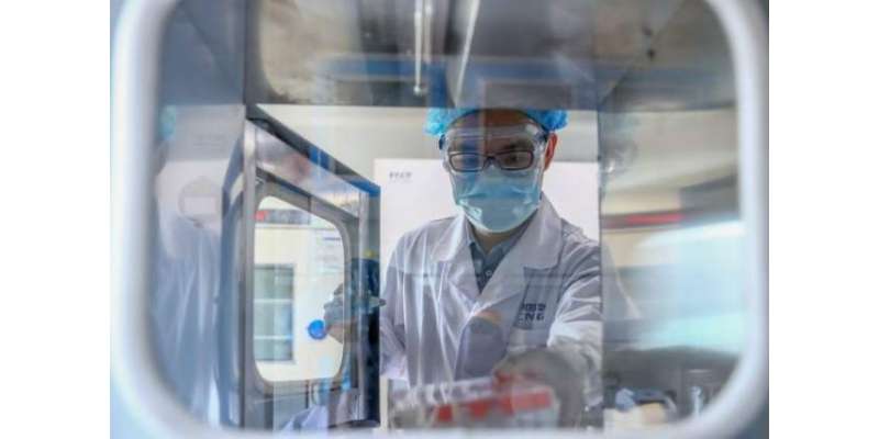چینی سائنس دانوں نے کینسر کے  علاج کے لئے نینو ڈرگ کیریئر تیار کرلیا