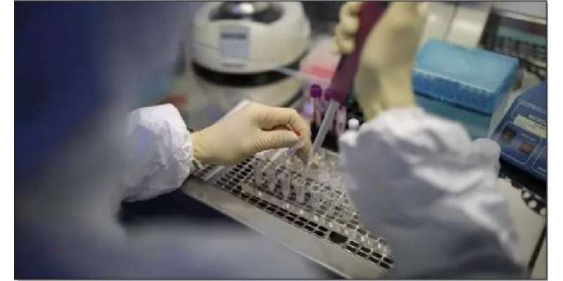 پاکستا ن میں کورونا وائرس کے 200 شدید متاثرہ افراد کا علاج صحت یاب افراد ..