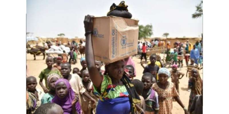 نائجر میں خوراک کی تقسیم کے دوران بھگدڑ سے 20 افراد جاں بحق