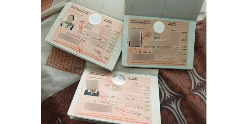 پاکستانی اپنے پاسپورٹ کی مدد سے اماراتی ویزہ کے اصلی ہونے کی جانچ کر ..