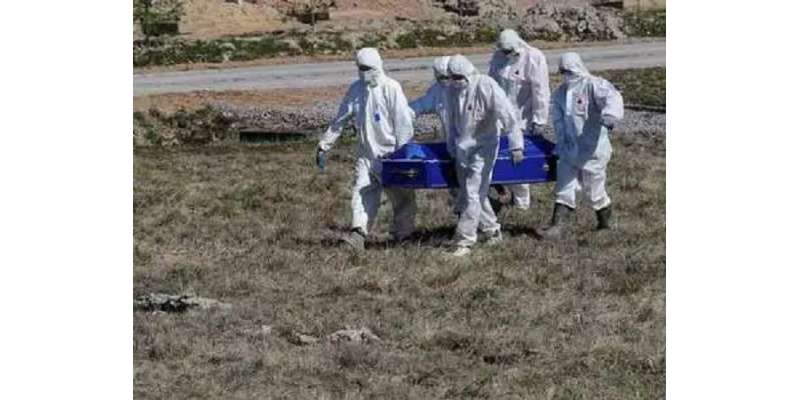 ملک بھر میں کورونا وائرس سے مزید 7 افراد جاں بحق اور 411 نئے کیسز رپورٹ