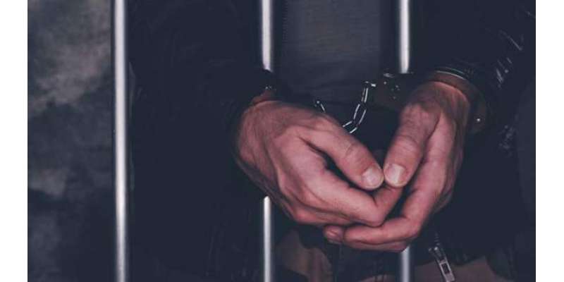 غیر قانونی بھرتیوں پر سابق ایم ڈی پی آئی اے اعجاز ہارون گرفتار