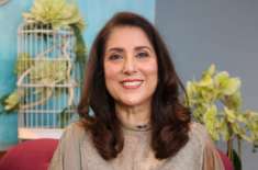 ثمینہ پیرزادہ نے پاکستان کے طرزِ حکومت کو ’سرکس‘ کا نام دیدیا