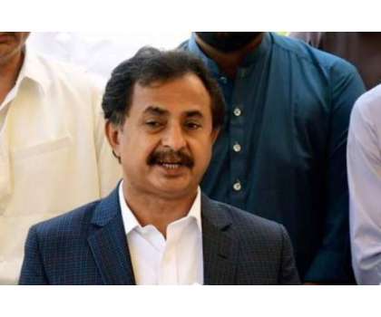 پرامن ریلی پر طاقت کا استعمال کیا گیا حالات خراب کرانے کے زمہ دار وزیراعلی سندھ ہیں ،حلیم عادل شیخ 