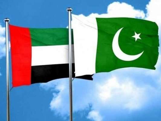پاکستان یو اے ای کیساتھ ٹی ٹونٹی ورلڈکپ کی میزبانی کا خواہشمند