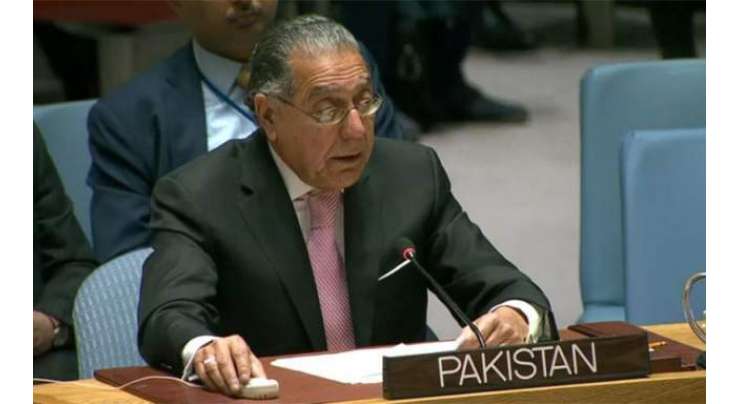 اقوام متحدہ کی جنرل اسمبلی میں پاکستانی مندوب کی مسلمانوں، عیسائیوں اور کشمیریوں کے خلاف بھارتی مظالم کی مذمت ، جبر کے خاتمے پر زور