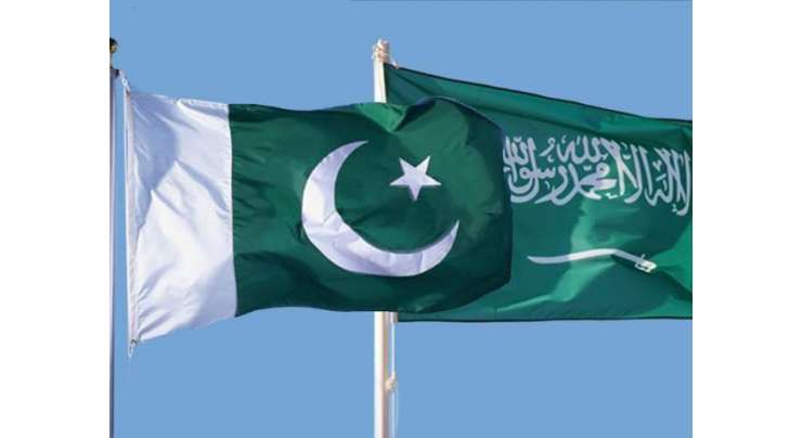 ’جتنا شہد تیار ہو ہم خریدنے کو تیار ہیں‘ سعودی عرب کی بلین ٹری ہنی منصوبے کیلئے پاکستان کو پیشکش
