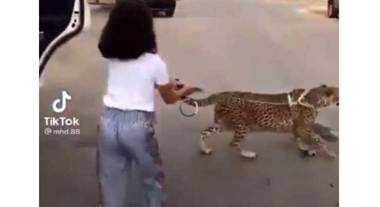 سعودی عرب میں بچی کی چیتے کے ساتھ سڑک پر گھومنے کی ویڈیو وائرل ہو گئی