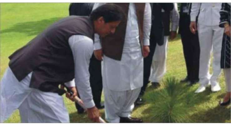 ہر پاکستانی بھی ایک ایک درخت لگائے تو بہت بڑا انقلاب ہو گا. عمران خان