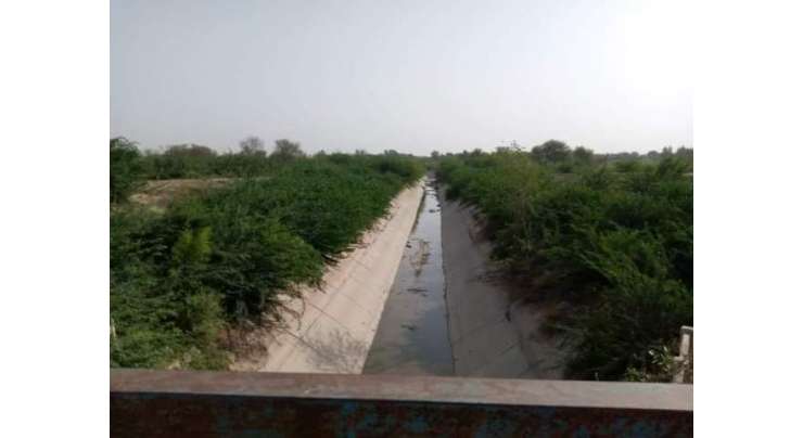 کسان ملکی معیشت میں ریڑ کی ہڈی تصور کیے جاتے ہیں جبکہ تونسہ شریف میں صورتحال بر عکس ہے