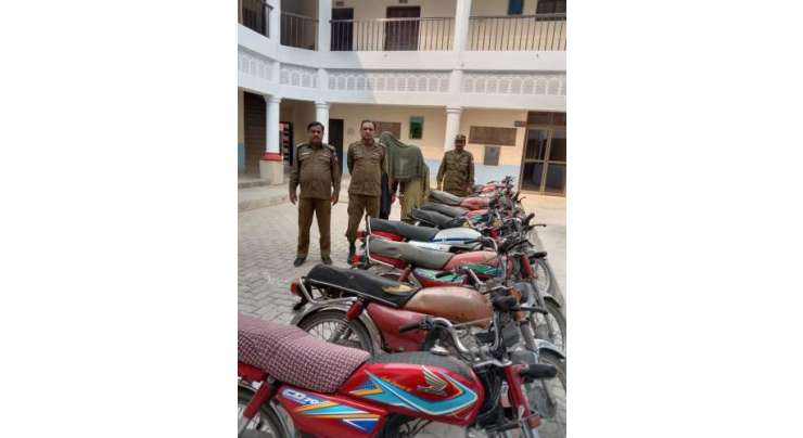 تھانہ سٹی بھکر پولیس کی کاروائی 2 رکنی بین الاضلاعی موٹر سائیکل چور گرفتار، لاکھوں روپے مالیت کے 11 موٹر سائیکل برآ مد