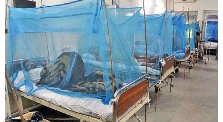 پشاور کے ہسپتالوں میں کورونا کے  359،ڈینگی  کے 23مریض زیر علاج ہیں ، ترجمان