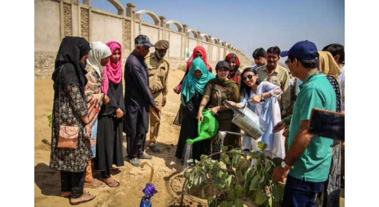 روہڑی میں بیگم نصرت بھٹو وومین ہونیورسٹی کی طالبات کے درمیان پودے لگانے کے 50 روزہ مقابلے کا انعقاد ،طالبات کی جانب سے 89 اقسام کے 359 پودے لگادیئے گئے