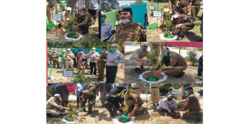پولیس لائنز جہلم میں گرین اینڈ کلین پاکستان مہم کے تحت پودے لگائے گئے