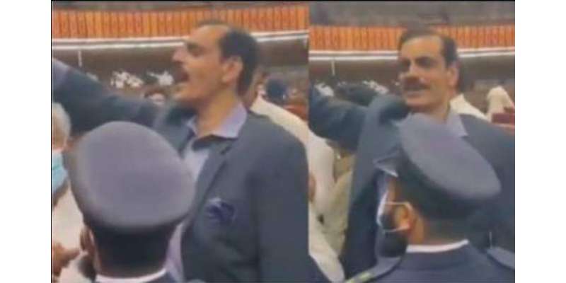 پارلیمنٹ اجلاس میں ن لیگی ایم این ایز کی جانب سے نازیبا نعروں کی ویڈیو ..