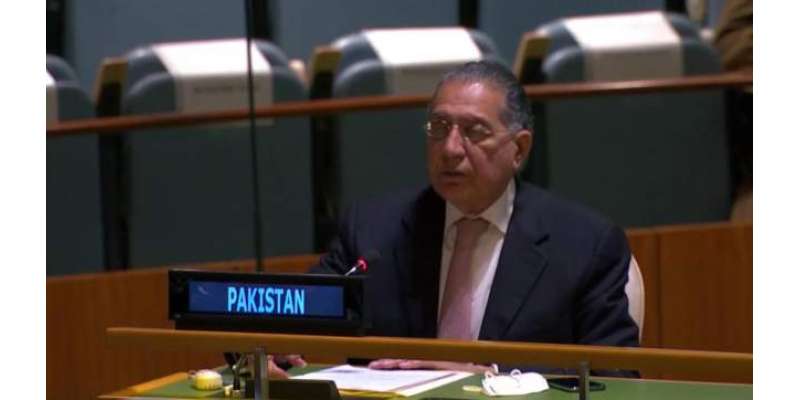 پاکستان نے سلامتی کونسل میں نئی مستقل نشستوں کی تشکیل کی مخالفت کردی